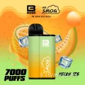 BORS FRUTS JUICE BIG CAPPACY E-cigarette 7000 bouffées